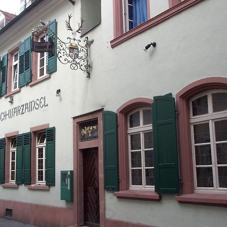 Ferienwohnung Weinstube Schwarzamsel Speyer Exterior foto