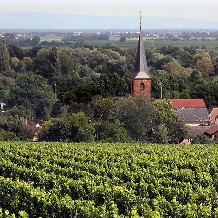 Ferienwohnung Weinstube Schwarzamsel Speyer Exterior foto