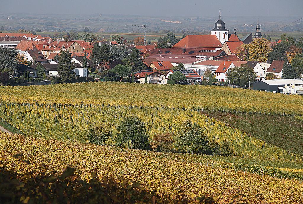 Ferienwohnung Weinstube Schwarzamsel Speyer Exterior foto