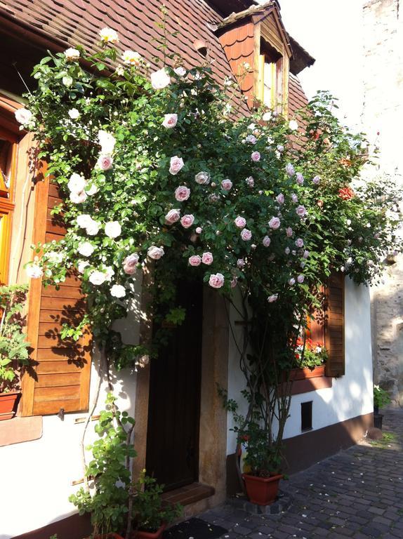 Ferienwohnung Weinstube Schwarzamsel Speyer Exterior foto